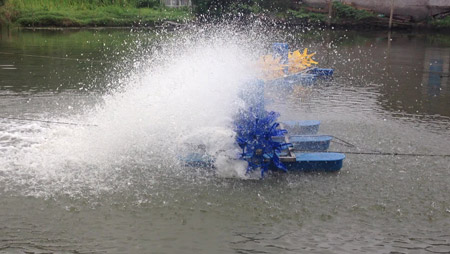 От чего зависит компоновка аэраторов для рыбных прудов