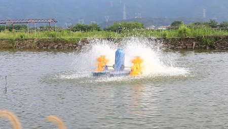 Выбор и установка аэратора для пруда